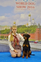 Налекс Треже Дальгвен_14