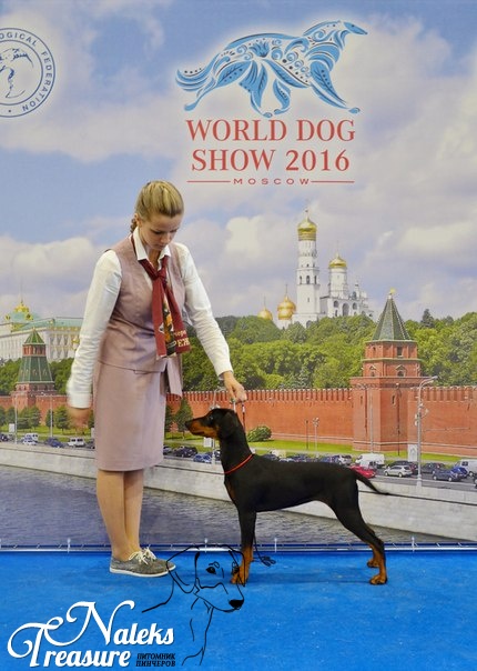 Налекс Треже Елисоль_9
