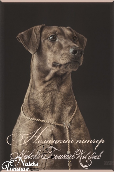 Налекс Треже Зольдиак_40